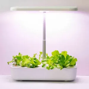 Home Indoor Hydroponics Farming Grow System Kit