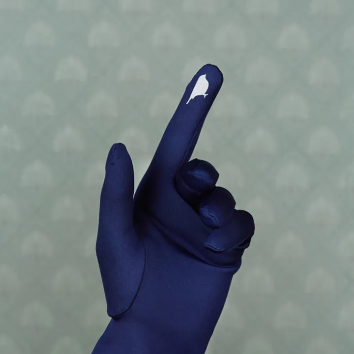 Isabelle Gloves