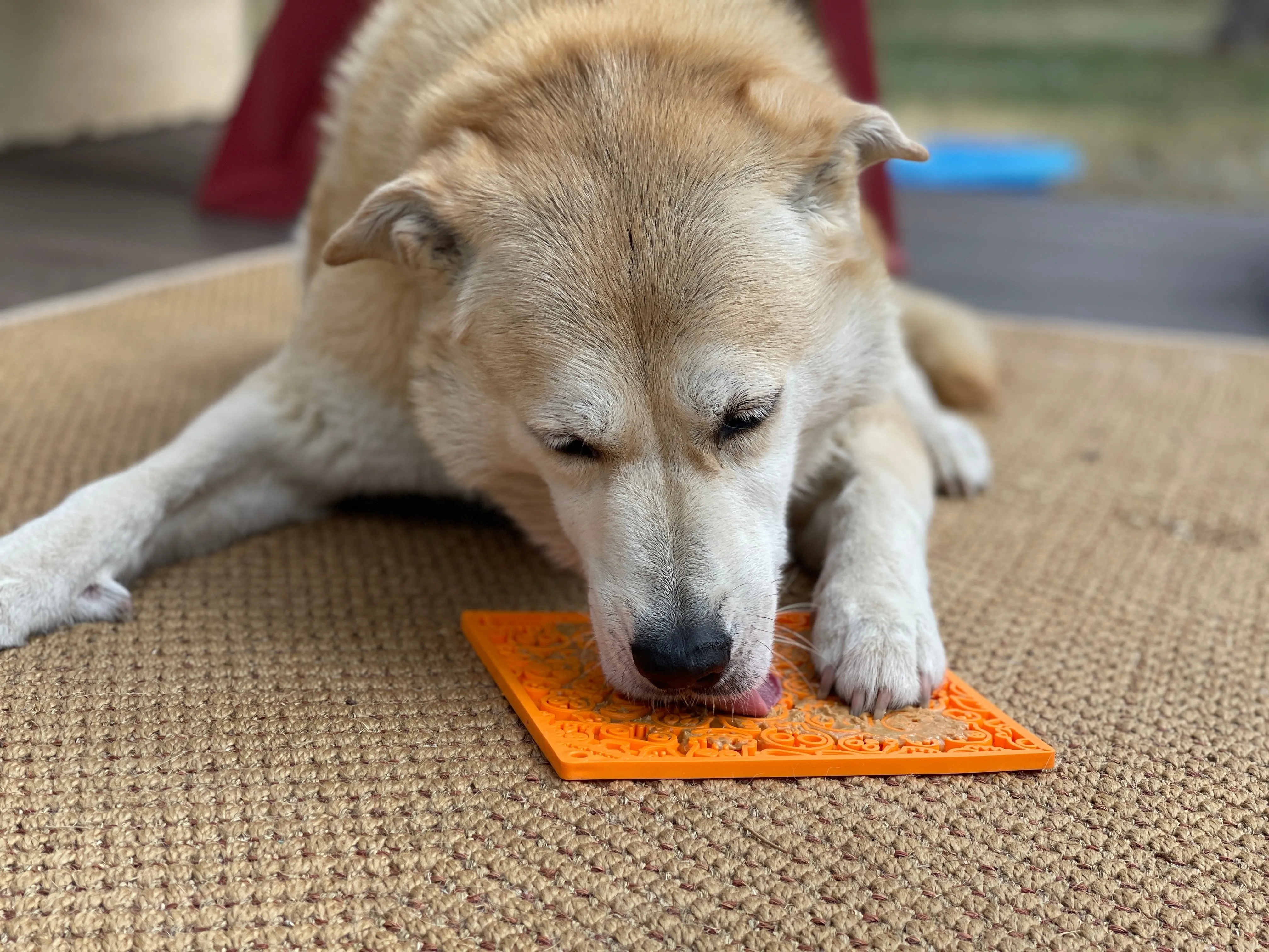 Lick Mat | Zombie Orange