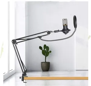 Microphone Set; Universal Cantilever Stand Holder Live K Song Condenser Microphone Set Vocal Microphone