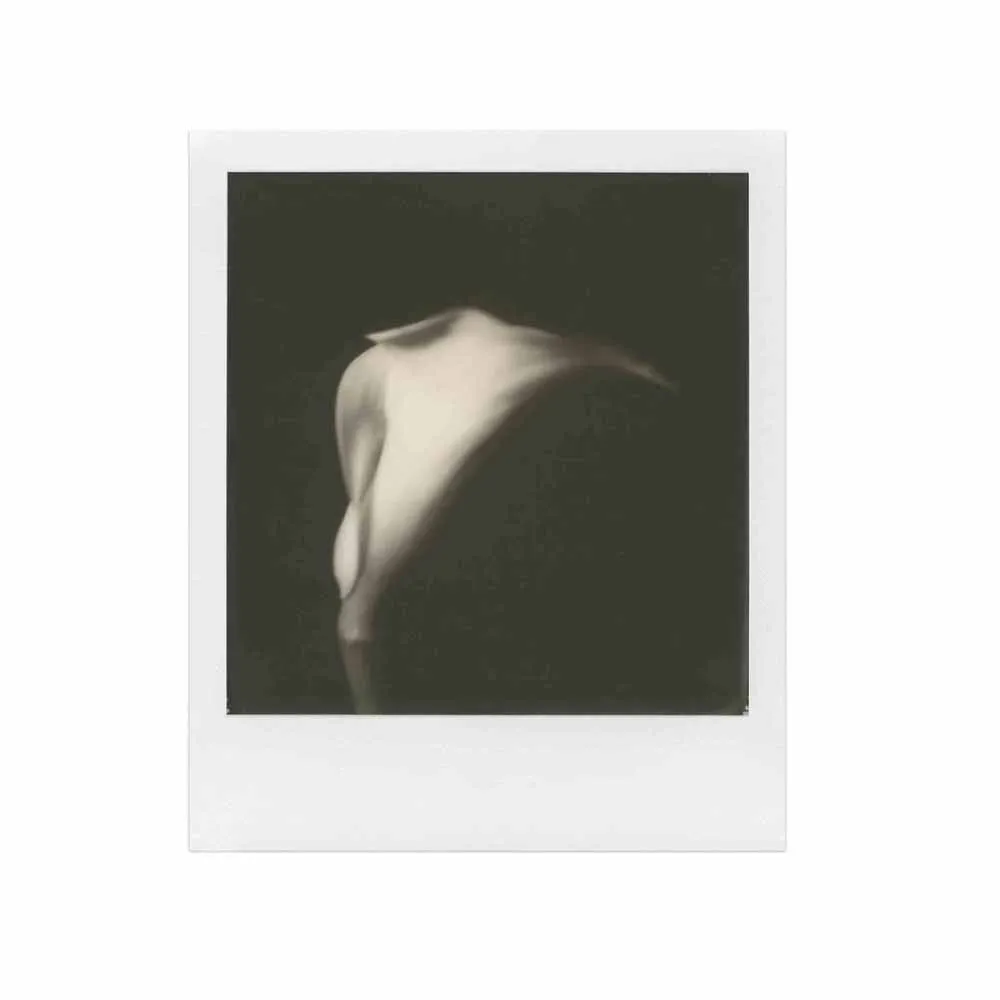Polaroid 600 :: B&W Film