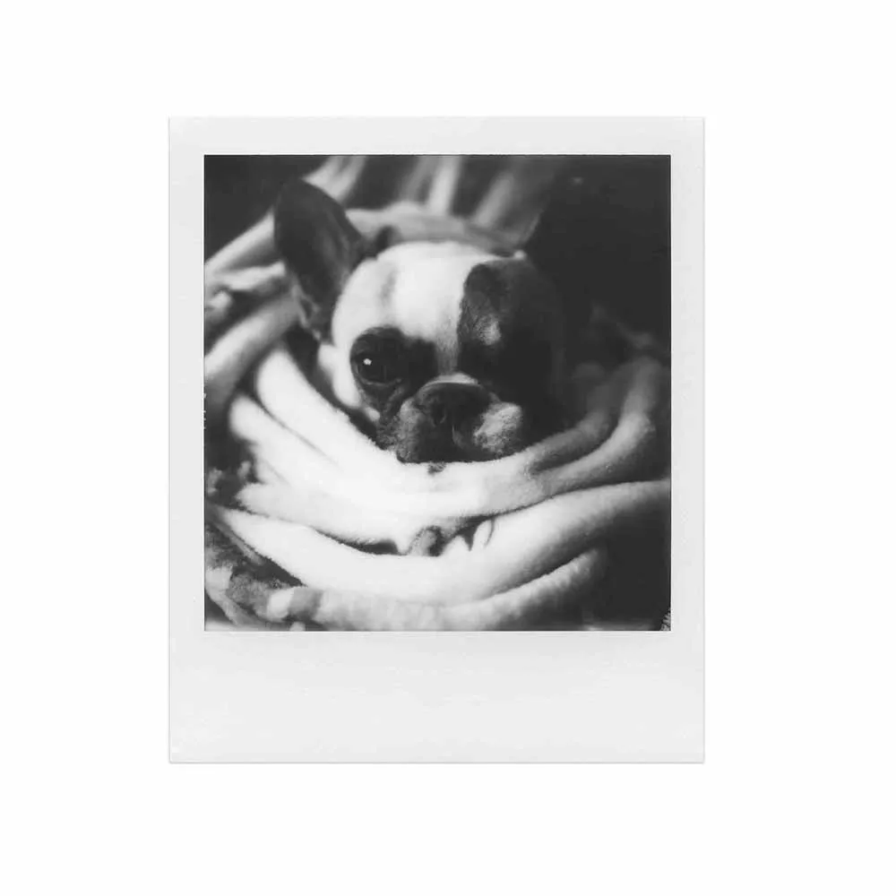 Polaroid 600 :: B&W Film