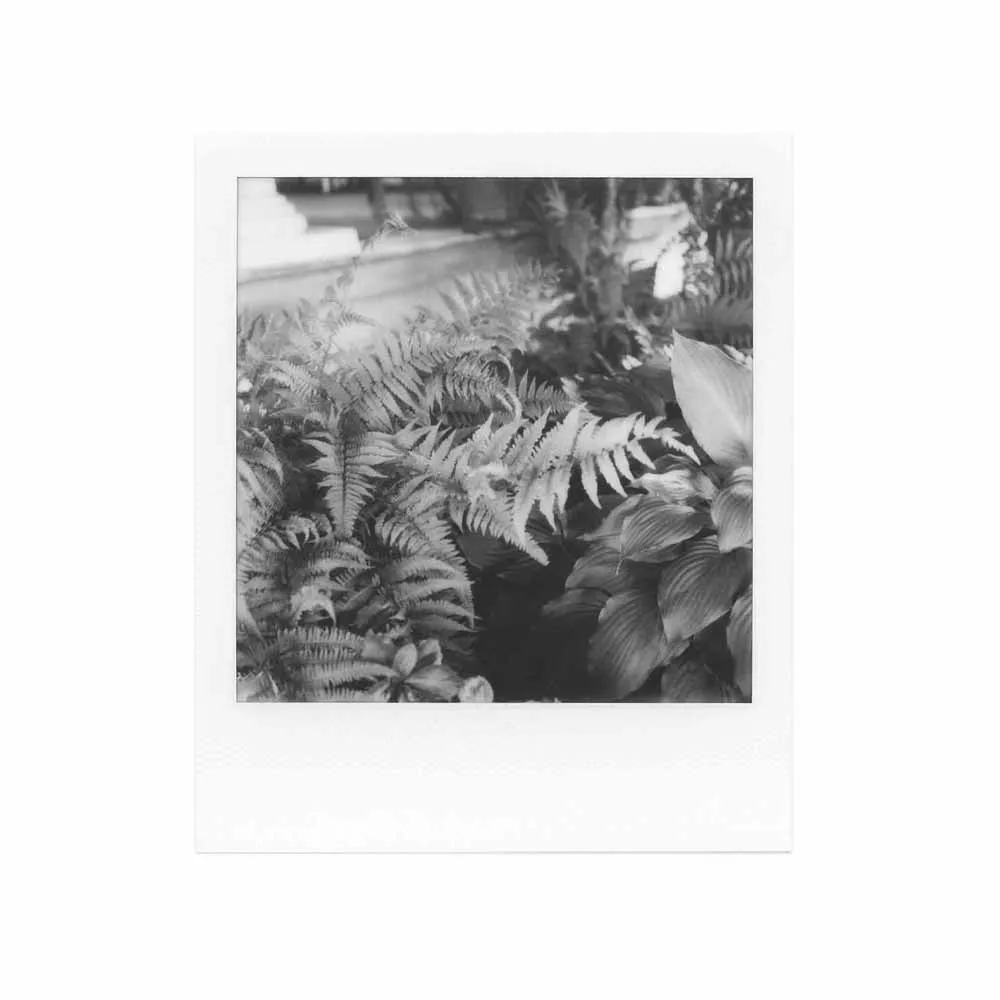 Polaroid 600 :: B&W Film