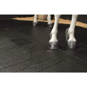 Rubber Stable Mat