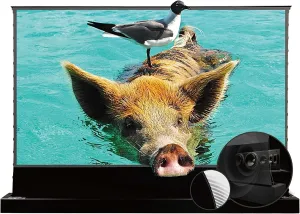 VIVIDSTORM-Projector Screen with Stand S PRO P 100 inch Foldaway Home/Movie Portable Sound Acoustically Transparent Light Rejecting Indoor Video Compatible with UST Laser TV Projector,VSDSTUST100HP
